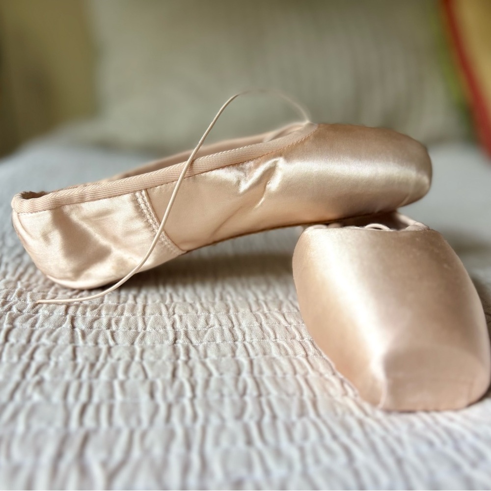 Nikolay Pointe Shoes